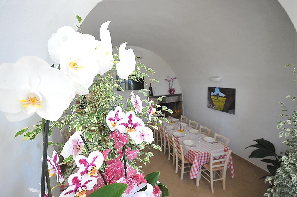 גאליפולי Agriturismo Il Trappeto מראה חיצוני תמונה